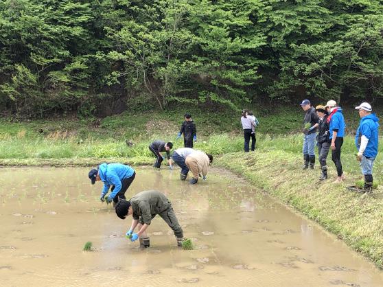 「田植え体験」を行いました